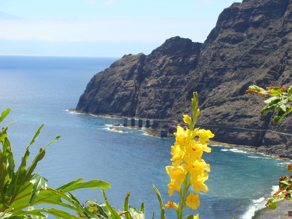 Viviendas Vacacionales Jardin La Punta Hermigua Εξωτερικό φωτογραφία